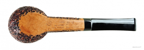 Ser Jacopo R1 A Maxima pipe 1888 c