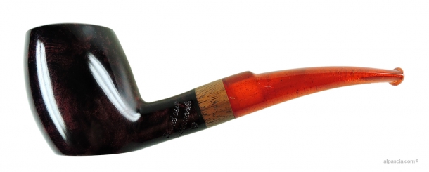 Leo Borgart Top Selection pipe 538 a