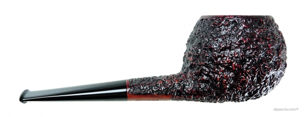 Radice Rind smoking pipe 2006 b