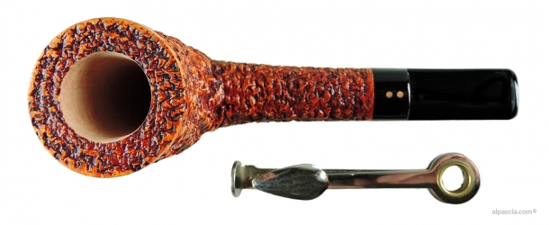 Radice Rind G smoking pipe 2009 d