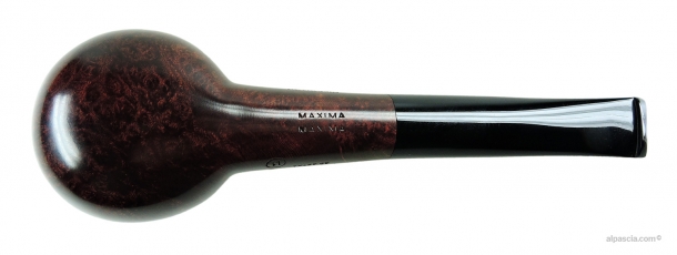 Ser Jacopo L1 B 2 MAXIMA pipe 2109 c